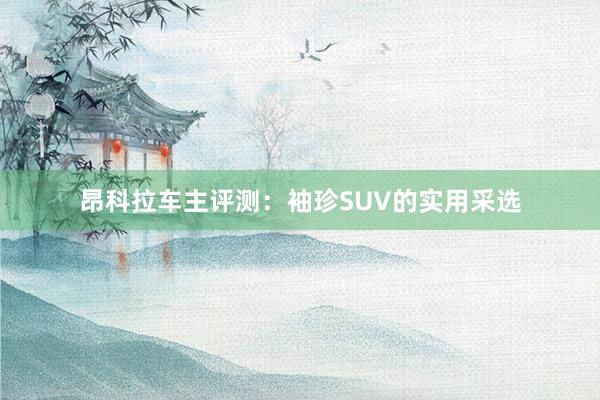 昂科拉车主评测：袖珍SUV的实用采选