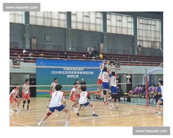 体育比赛规则适用于哪些项目及其在各类赛事中的重要性与影响